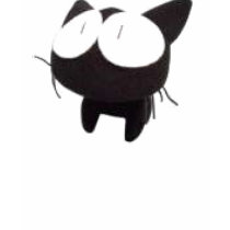 かわいい猫