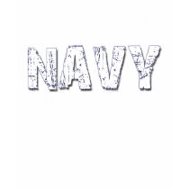 それ上の海軍が付いているCTの記章