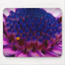 アフリカデイジーの花Mousepad