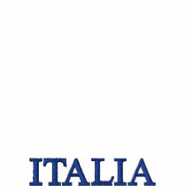イタリアMMX -イタリア2010の刺繍されたワイシャツ