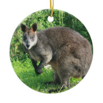 オーストラリアのカンガルーの装飾 クリスマスオーナメント
