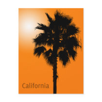 カリフォルニアやし
