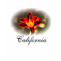 カリフォルニアTシャツ