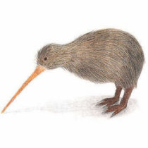 キーウィ フォトの切り取り