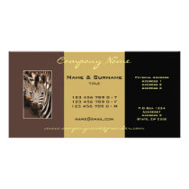サファリのシマウマの写真の名刺