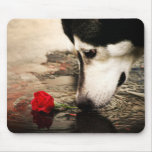 ハスキーで、赤いバラの写真撮影Mousepad