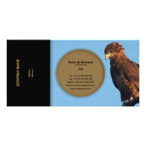 ビジネスプロフィールの猛禽のワシのbateleur