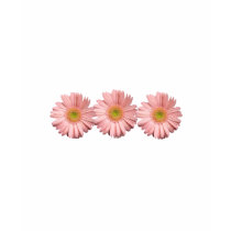 ピンクのヒナギクの花嫁のt_shirt
