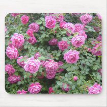 ピンクのRosebush Mousepad