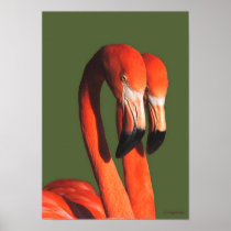 フラミンゴ プリント