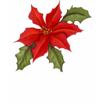 ポインセチアのクリスマス