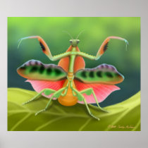 多彩な祈るカマキリの虫ポスター