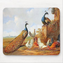 孔雀および鶏Mousepad