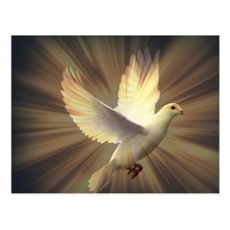 平和の鳩 ポストカード