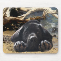 浜Mousepadのラブラドル・レトリーバー犬の子犬 マウスパッド