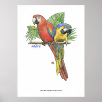 熱帯コンゴウインコ ポスター
