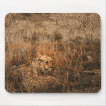 男性のライオンの野生動物のサファリコンピュータmousepads