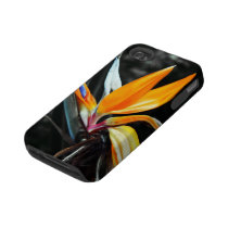 花のiPhone 4の堅い場合