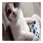 賭博猫-ポスター ポスター