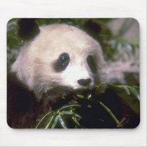 野生動物89 マウスパッド
