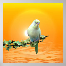 金インコポスター