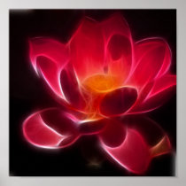 集中的なはすの花