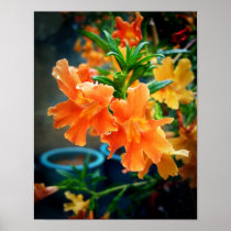 麝香の花