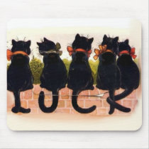 5黒猫のヴィンテージ