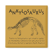 Ankylosaurusの磁石 マグネット