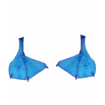 Boobieの青い足のフィート