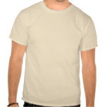 Ceiling Cat is Watching You T Shirts