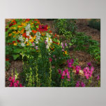 Cheerful Garden Colors Posters