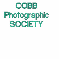 COBBの写真社会のワイシャツ レディース刺繍入りポロシャツ