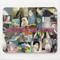 Cockatielsは特別です マウスパッド
