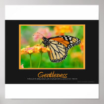 Gentleness ポスター