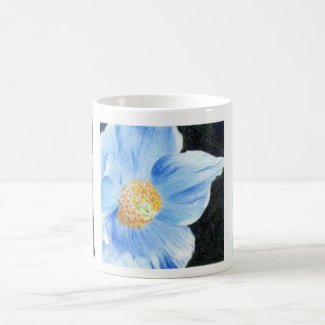 Himalayan Blue Poppy a cup of calm