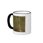 Mating Damselflies Coffee Mug