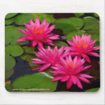 Mousepad -サンディエゴのバルボア公園のスイレン マウスパッド