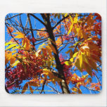 Mousepad -紅葉 マウスパッド