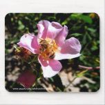 Mousepad -野生の蜂は上がりました マウスパッド