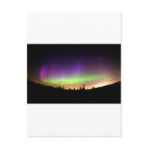 Northern Lights