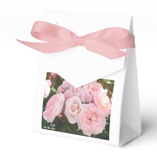 Rosa‘Sakura-Gasumi’(=Cherry haze)桜霞 Party Favor Box