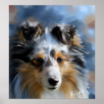 Sheltie -シェットランド・シープドッグ ポスター