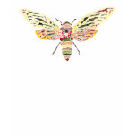 Stylish Cicada Ladies Top Shirt