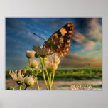 Touch of Magic Dust Poster