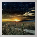 Touch of Magic Dust from Oz Print