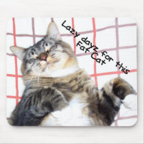 Tuffy不精な猫