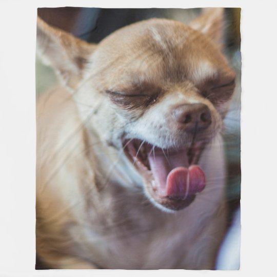 あくびをするチワワ フリースブランケット Zazzle Co Jp あくびをするチワワ フリースブランケット Zazzle Co Jp