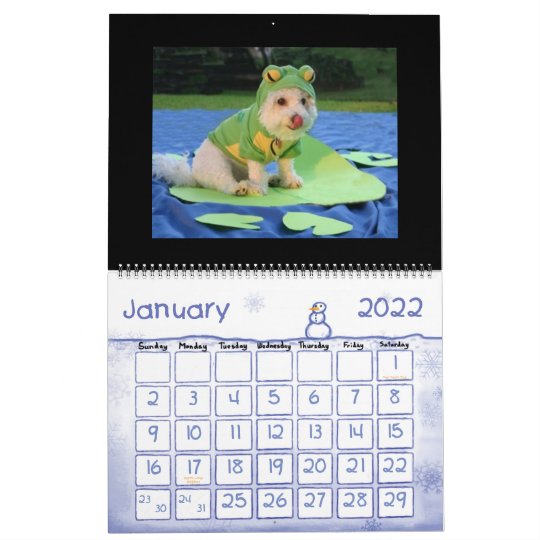 おもしろいな動物のカレンダー カレンダー Zazzle Co Jp