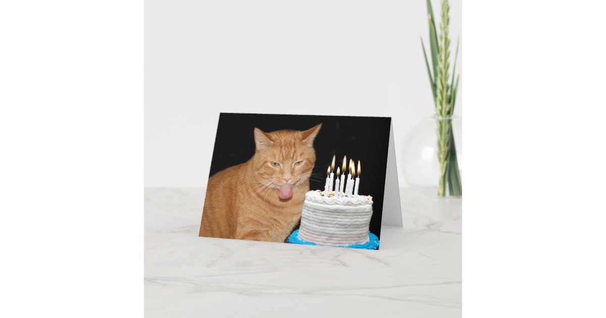 おもしろいな猫の誕生日 カード Zazzle Co Jp